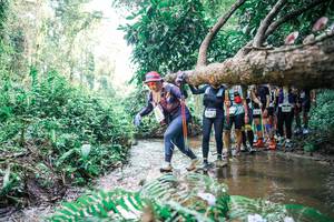 BIB: 
                            <button type="button" onclick="openModal(25471987)" class="btn btn-primary btn-sm float-right btn-popup" data-toggle="modal" data-target=".modal-high-quality">
                        <i class="fas fa-shopping-cart"></i> Add to Cart
                    </button>
                                            <button type="button" onclick="isThisMe(25471987, true)" class="btn btn-success btn-sm float-right btn-popup btn-isme hidden" data-toggle="tooltip" data-placement="bottom" title="นี่คือรูปของคุณใช่ไหม คลิกที่นี่เพื่อเอาเข้าอัลบั้ม">
                        <i class="fas fa-plus"></i> Add to album
                    </button>
                    <button type="button" onclick="isThisMe(25471987, false)" class="btn btn-warning btn-sm float-right btn-popup btn-isnotme hidden">
                        <i class="fas fa-ban"></i> Remove from album
                    </button>